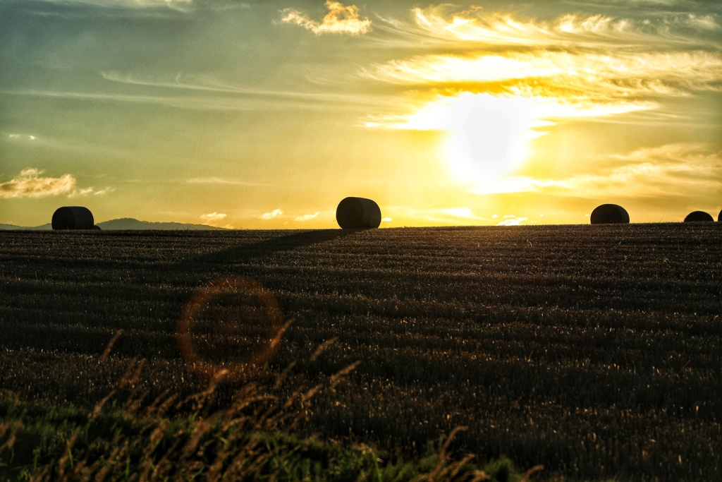 いつもの美瑛丘