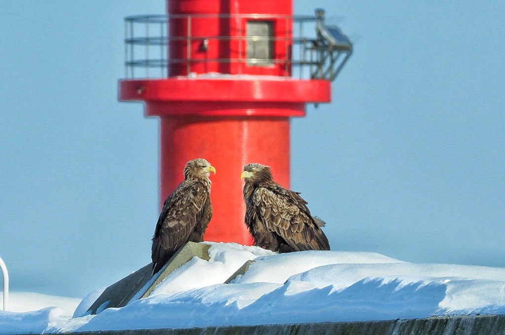 今日どこ泊まるの？ 今考えてんだよ。