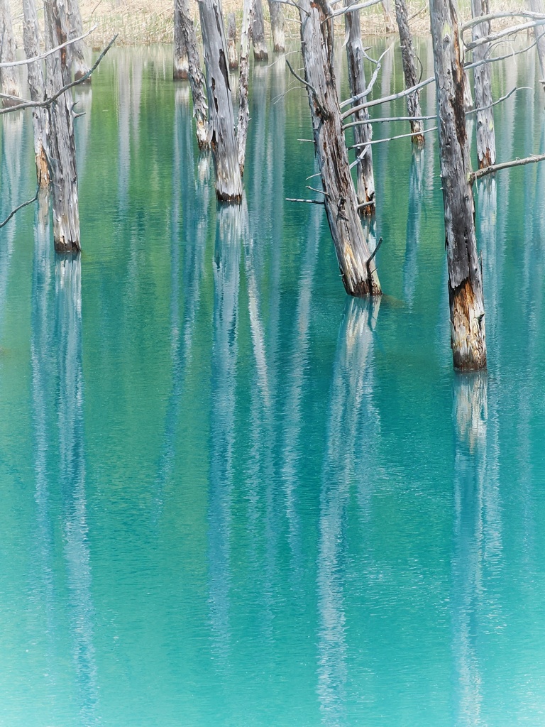 青い池