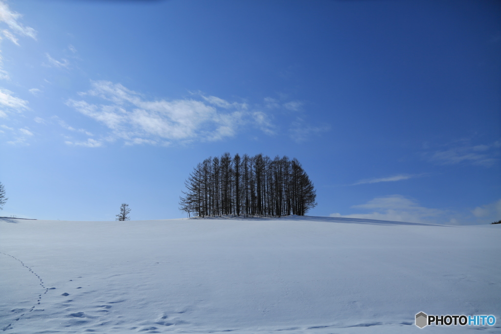 マイルドセブン2