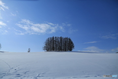 マイルドセブン2