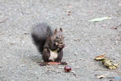デザート付きですか