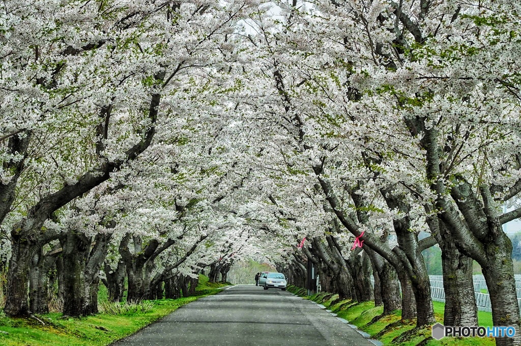 厚田 戸田記念公園