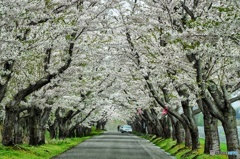 厚田 戸田記念公園