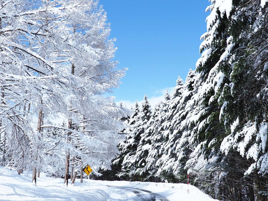 長い冬ももう時期終わり。