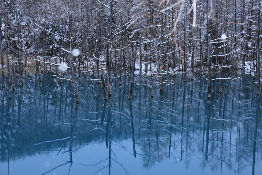 休日ともあって早朝から沢山の人が来てました。