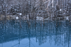 休日ともあって早朝から沢山の人が来てました。