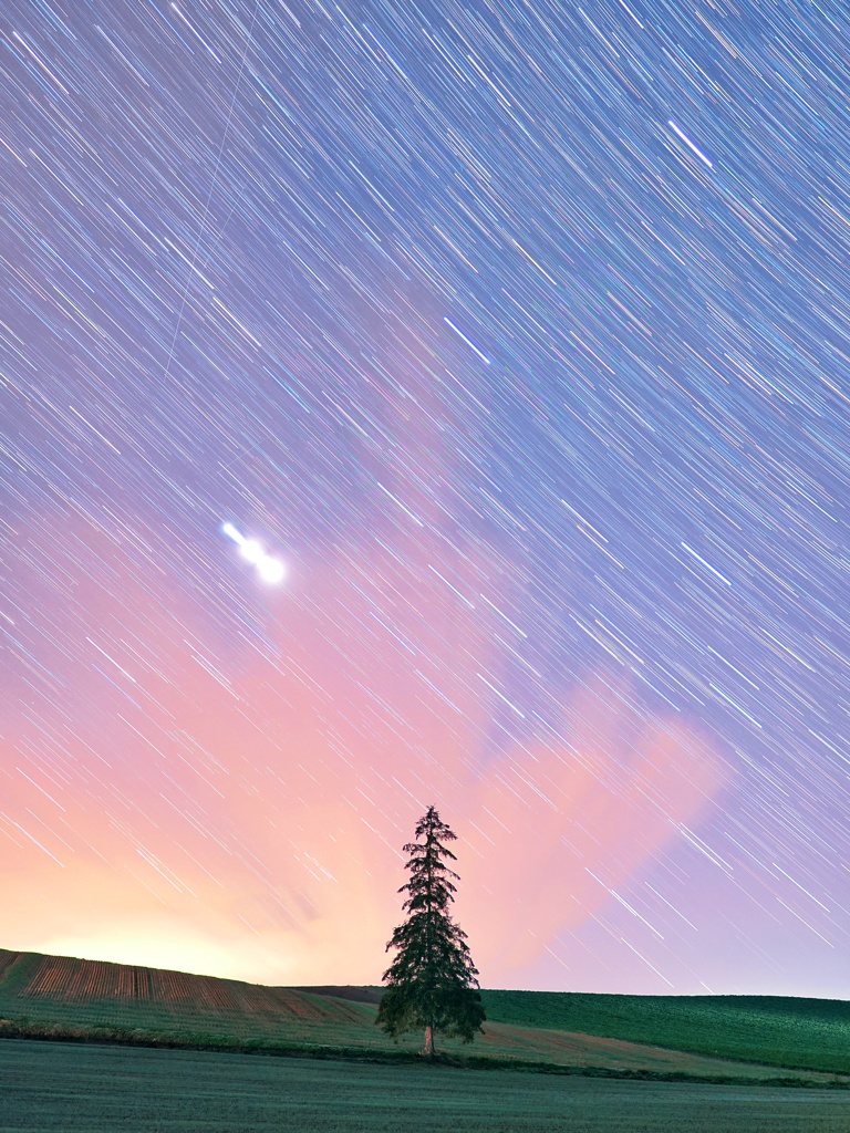 ツリー 串団子星