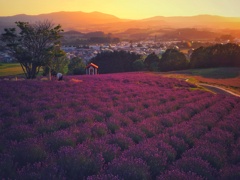 日の出公園