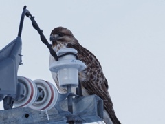 めちゃかぶってますが(笑)