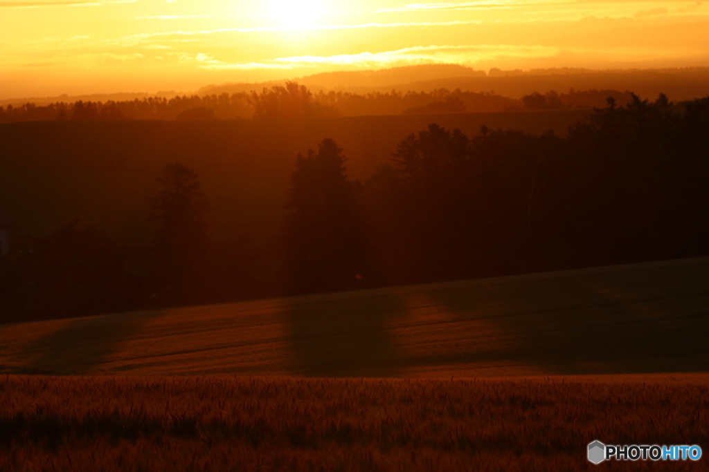 美瑛 朝焼け