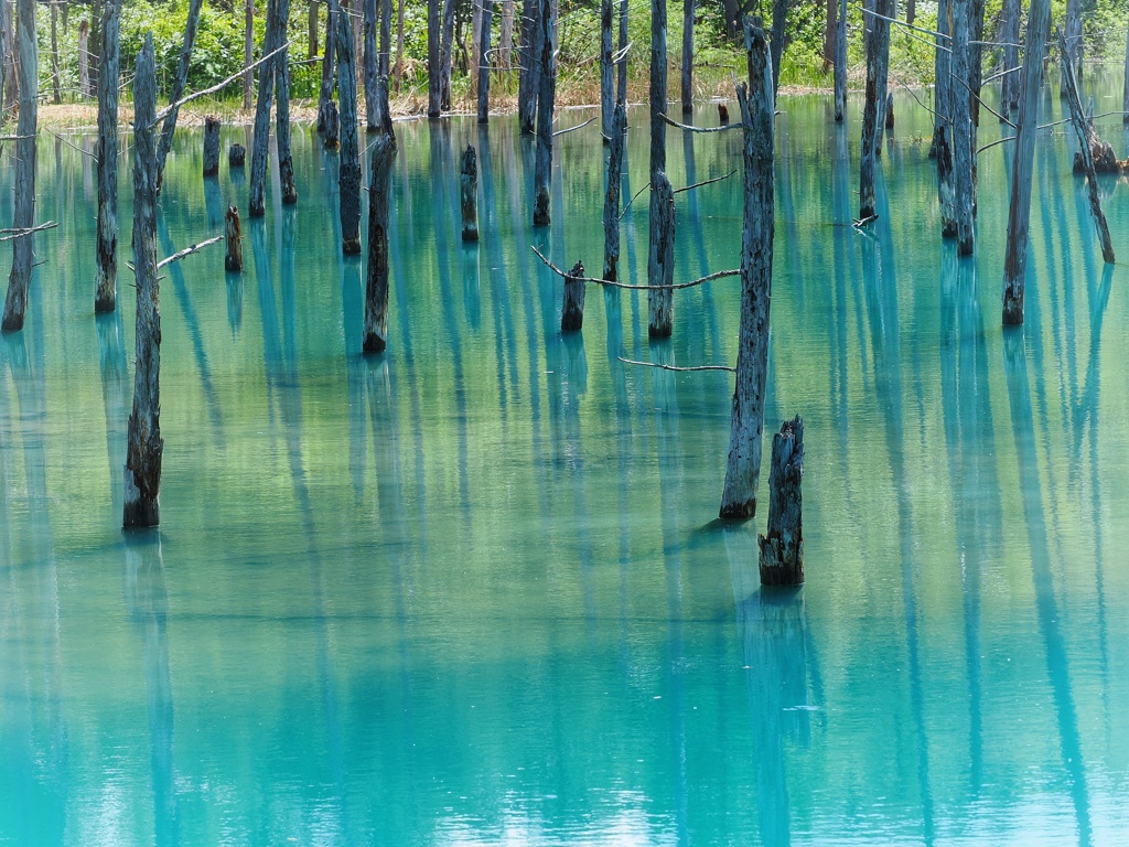 青い池