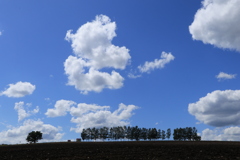 いつ来てもいい風景です。