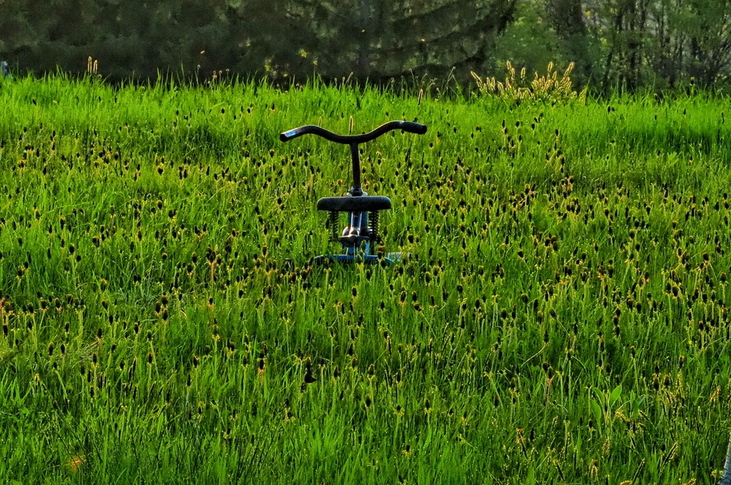 さびれた三輪車