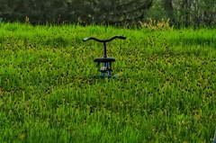 さびれた三輪車