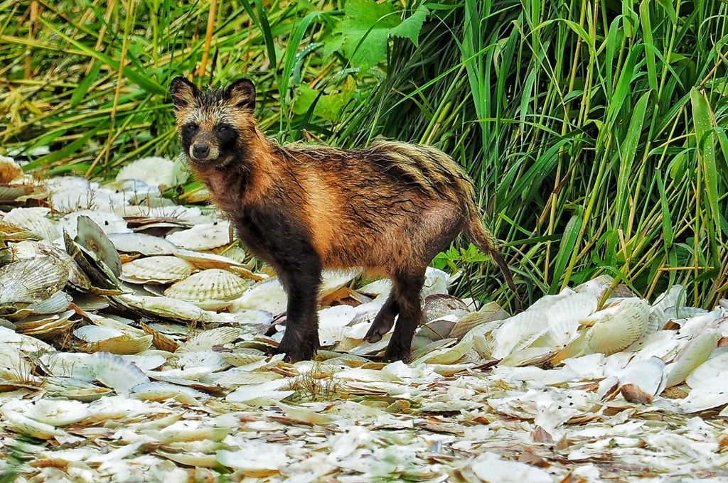いいもん食ってんな～(笑)