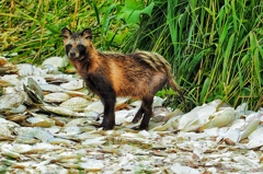 いいもん食ってんな～(笑)