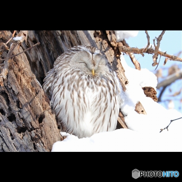 置物の様に！(笑)