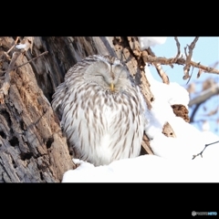 置物の様に！(笑)