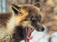 あごハズレるよ(笑)