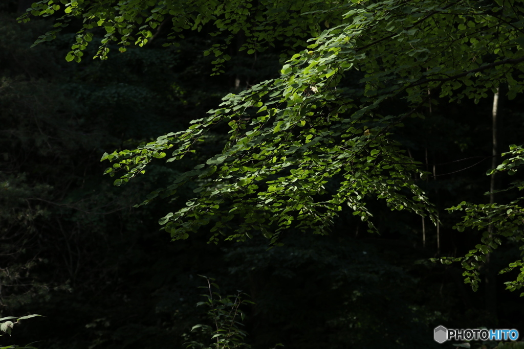 20160828225634_IMG_6923