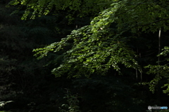 20160828225634_IMG_6923