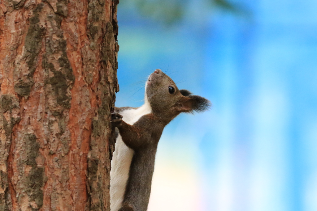 寒くなって来たね！