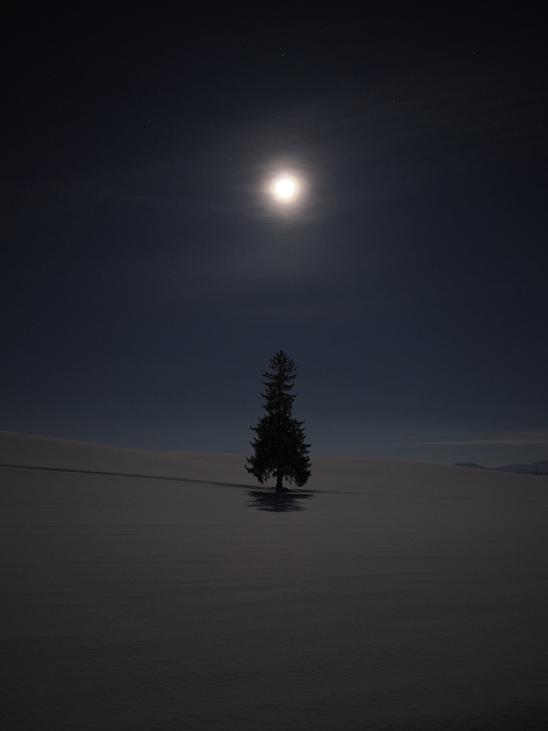 月あかりツリー