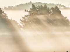 上富良野