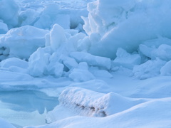 流氷時期は シバレる！(>_<)