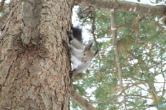 綺麗に撮れてる？