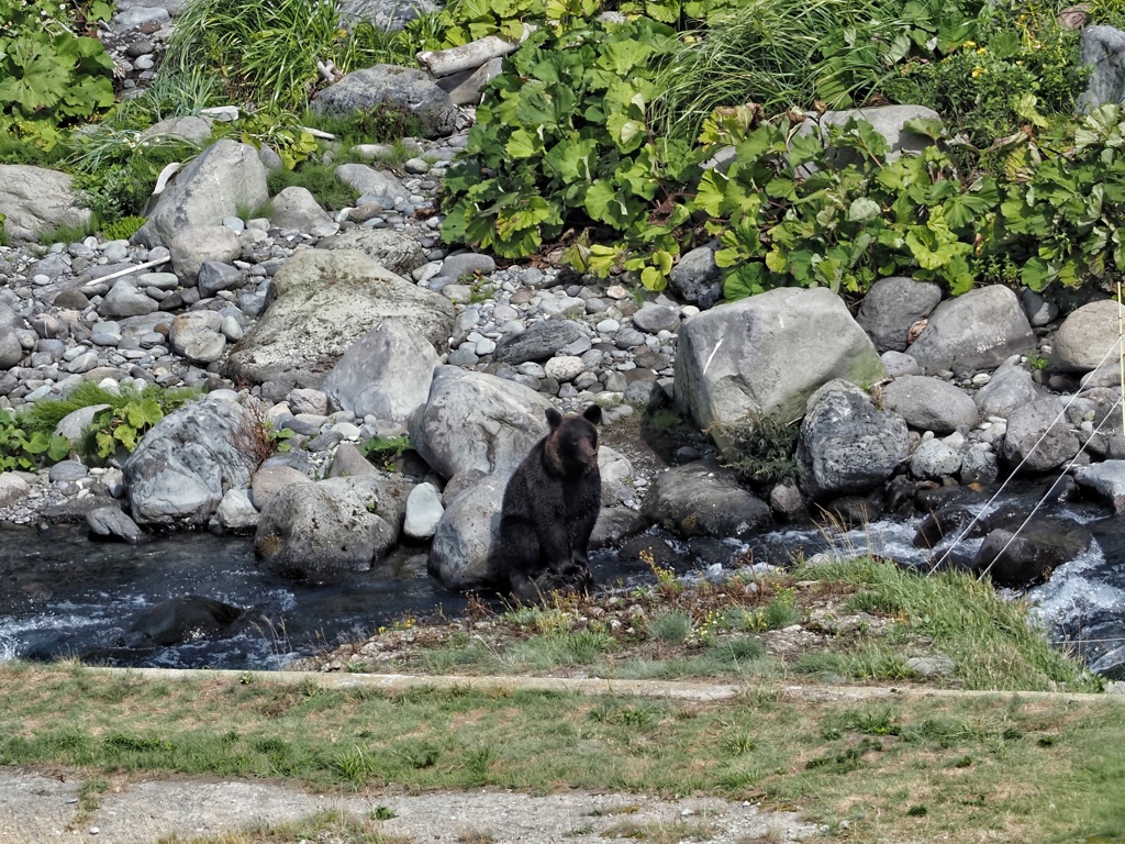 お気に入りの場所 次の日もここにいた。(笑)