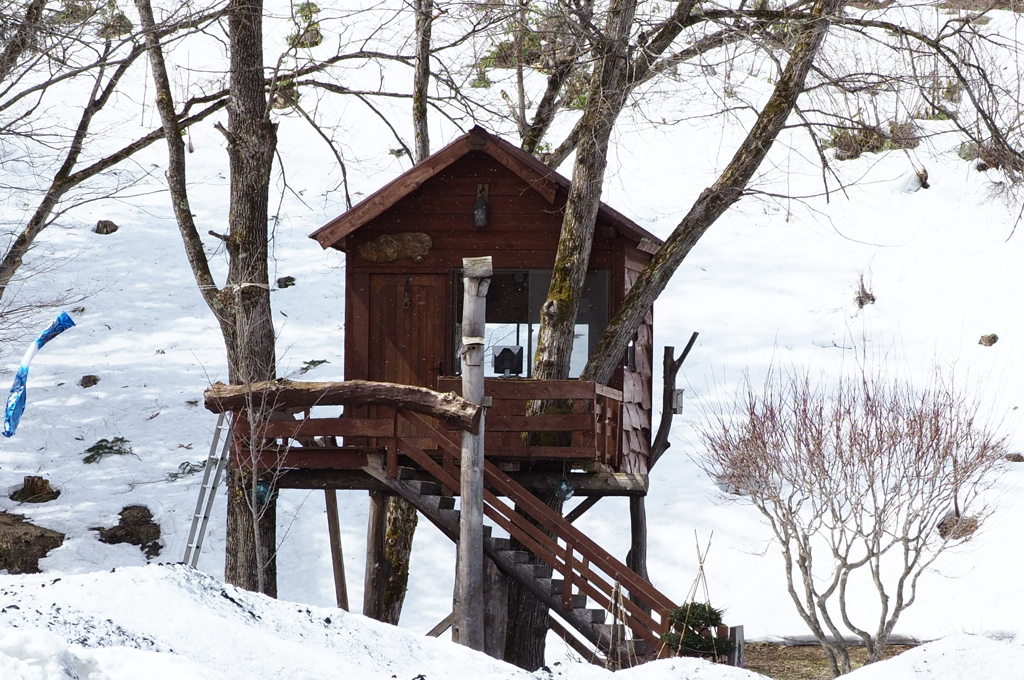 楽しそうだね！