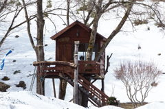 楽しそうだね！