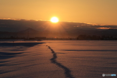 夕暮れ帰宅。
