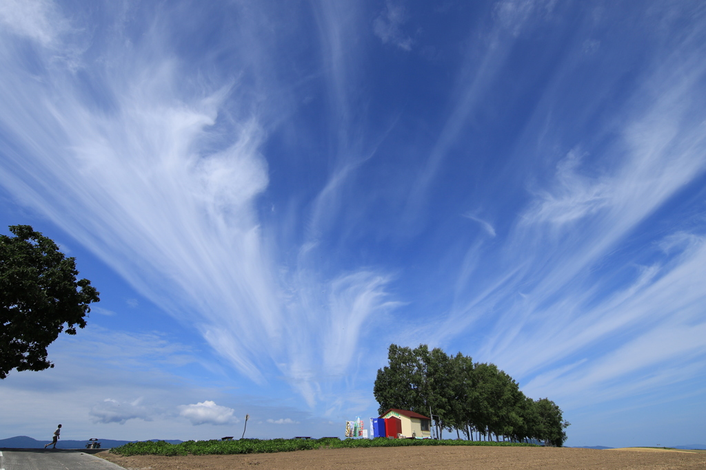 涼しくて気持ちいい