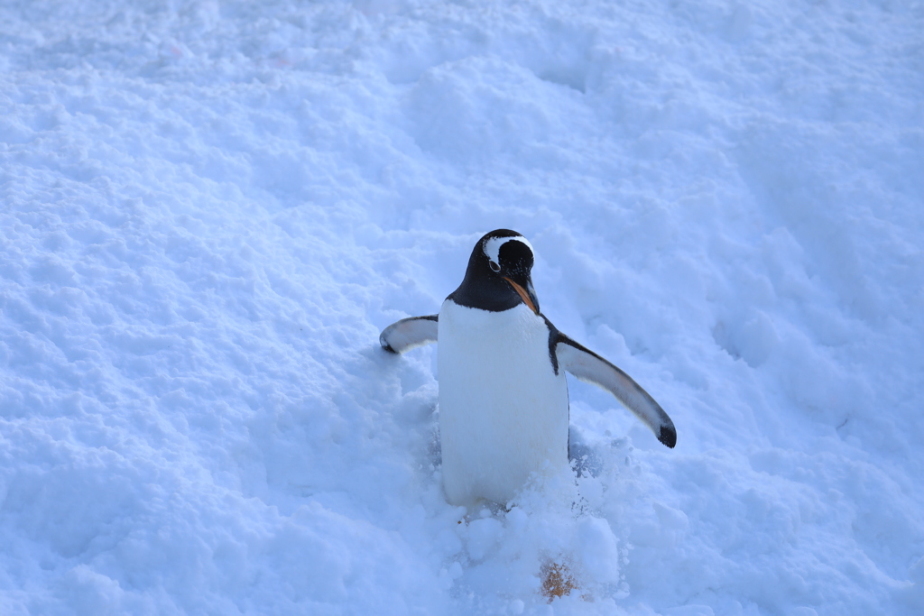 ひとり暴走！(笑)