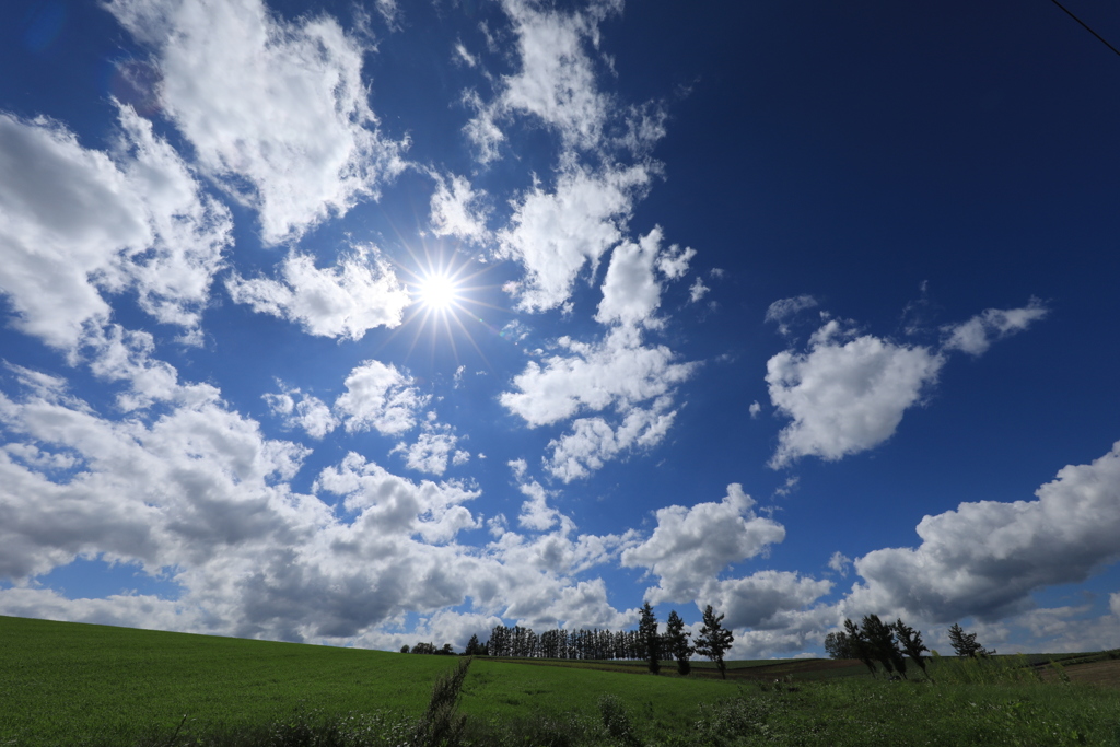 マイルドセブン