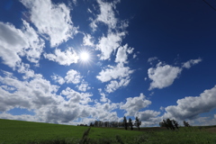 マイルドセブン