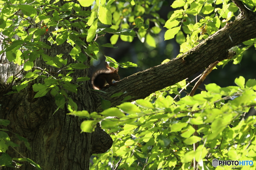 20160828231053_IMG_6935