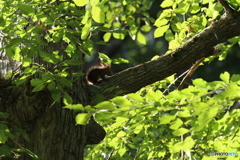 20160828231053_IMG_6935