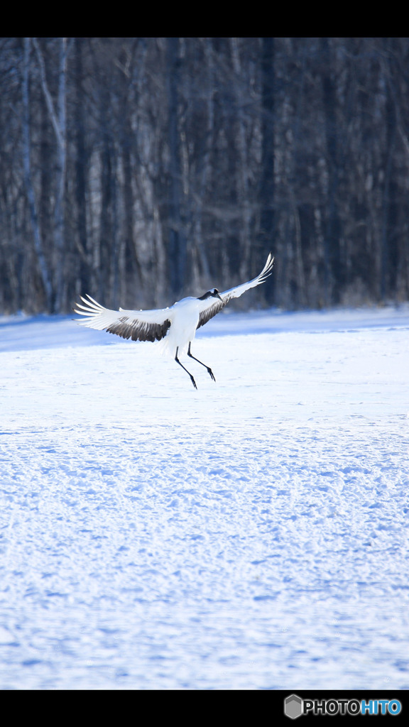 Screenshot_20170114-022254