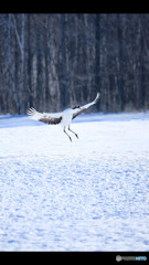 Screenshot_20170114-022254