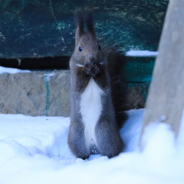 ｷｬ～ 色っぽい！