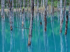 青い池