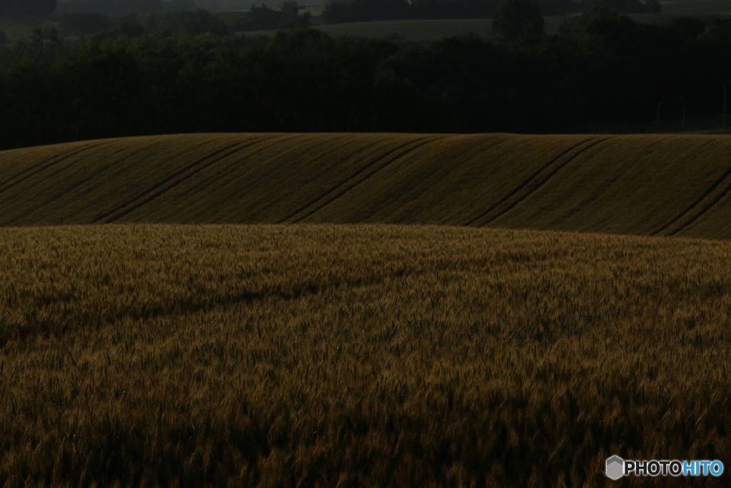 20160709050943_IMG_1212