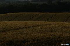 20160709050943_IMG_1212