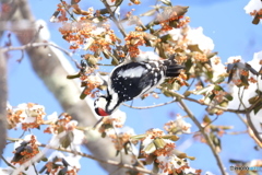謹賀新年っぽくなってしまった❗(笑)