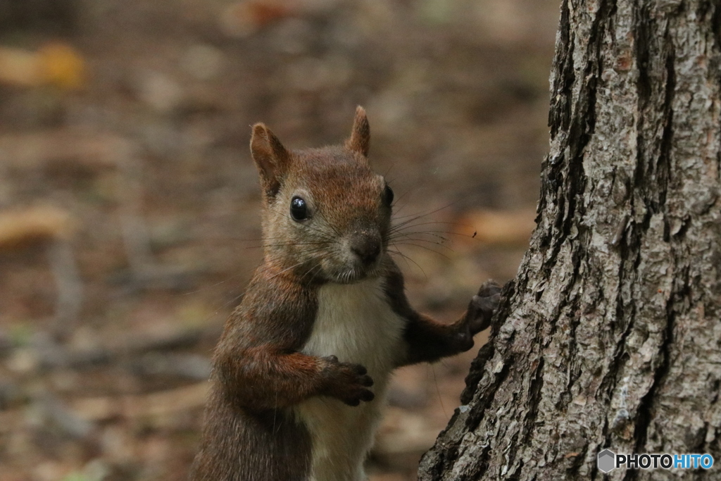 20160920230026_IMG_7340