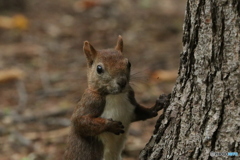 20160920230026_IMG_7340